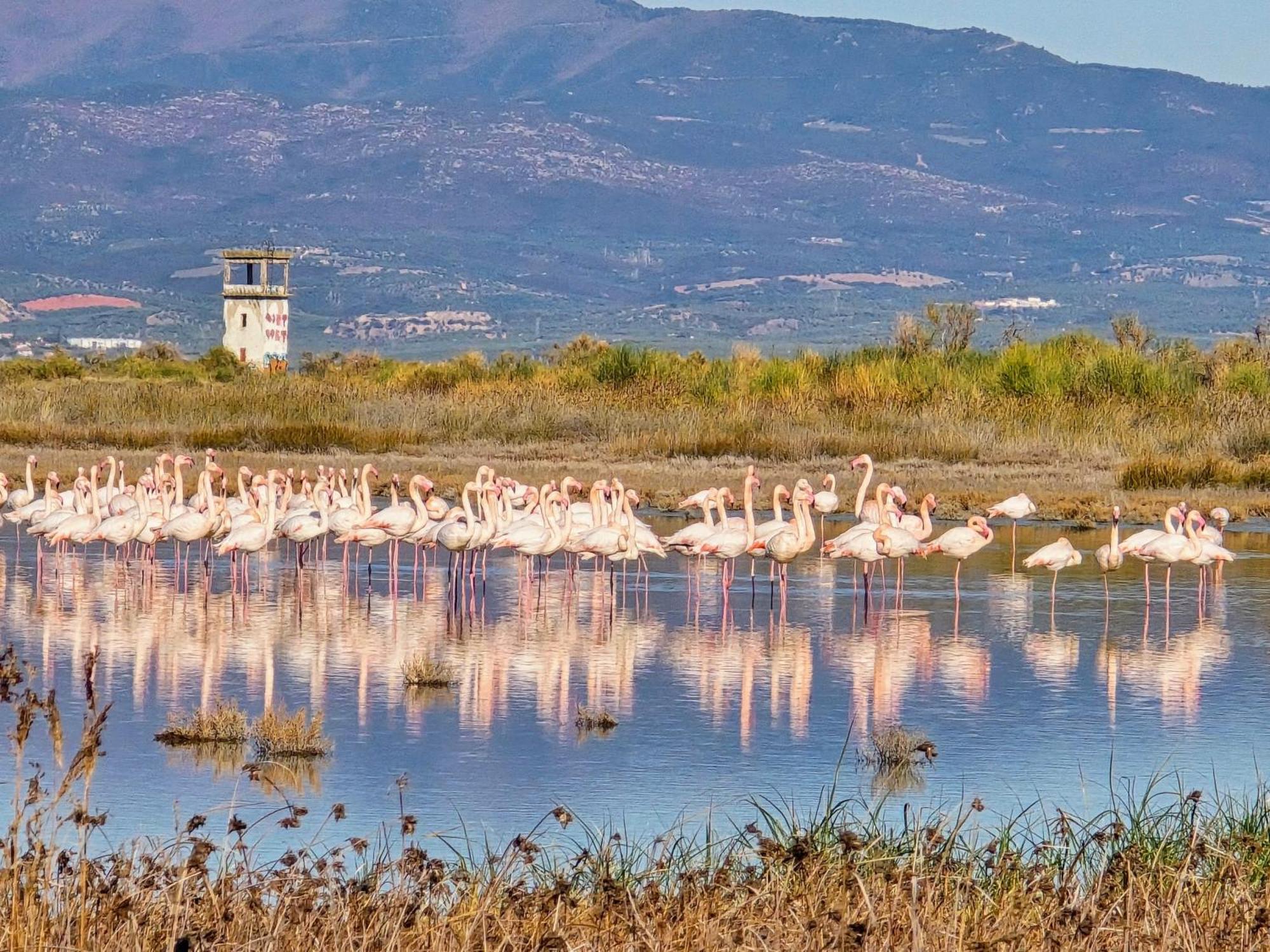 Flamingo View Suites & Villas Nea Poteidaia Buitenkant foto